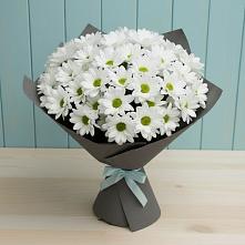 Букет цветов из:  Хризантемы в Первомайский