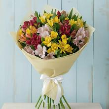 Букет цветов из:  Альстромерии #REPLACE_PRED# Первомайский