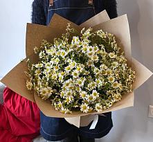Букет цветов из:  Ромашки #REPLACE_PRED# Первомайский
